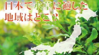 Thumbnail of post image 041